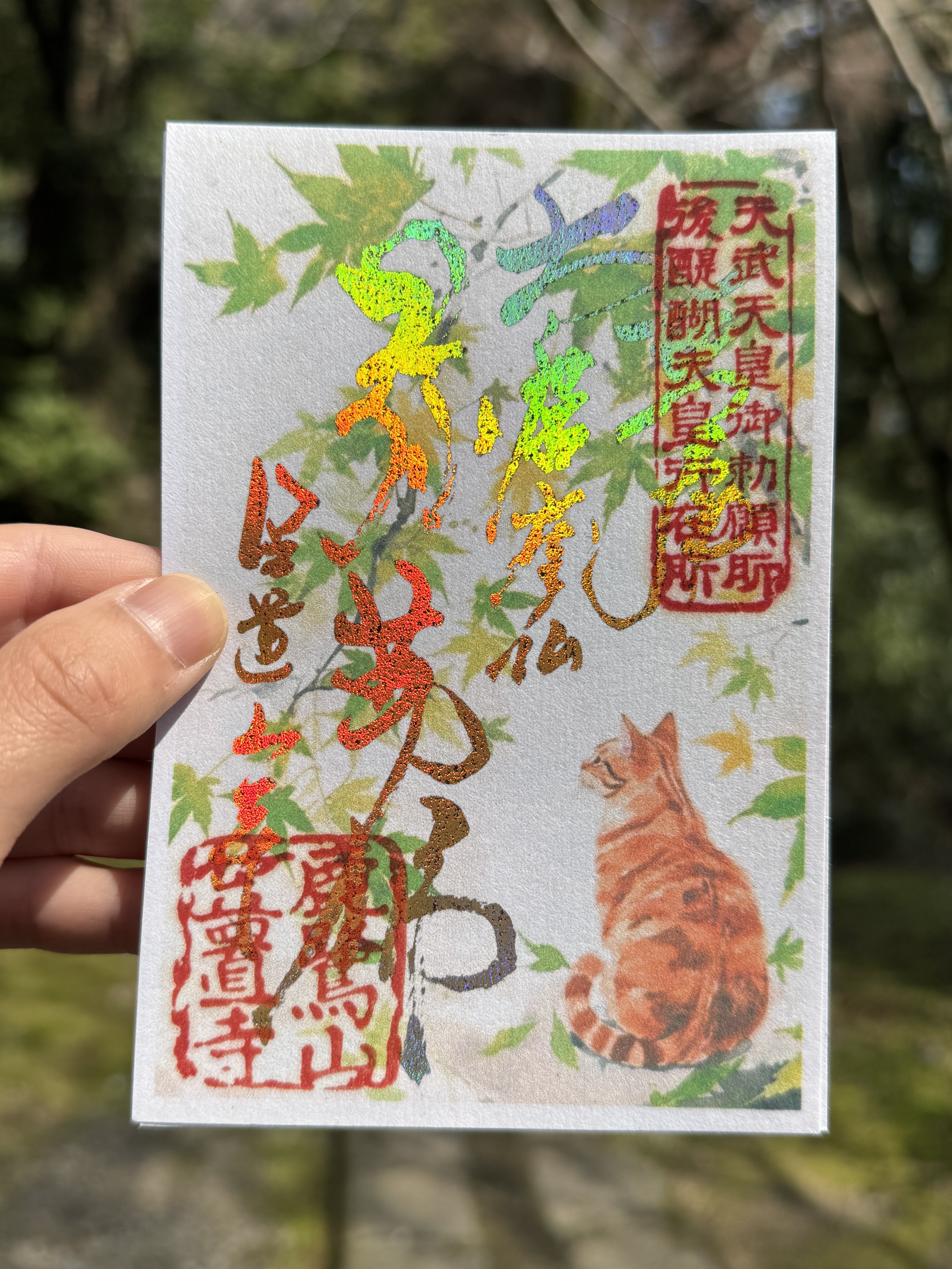 特別御朱印（導き猫）のお知らせ